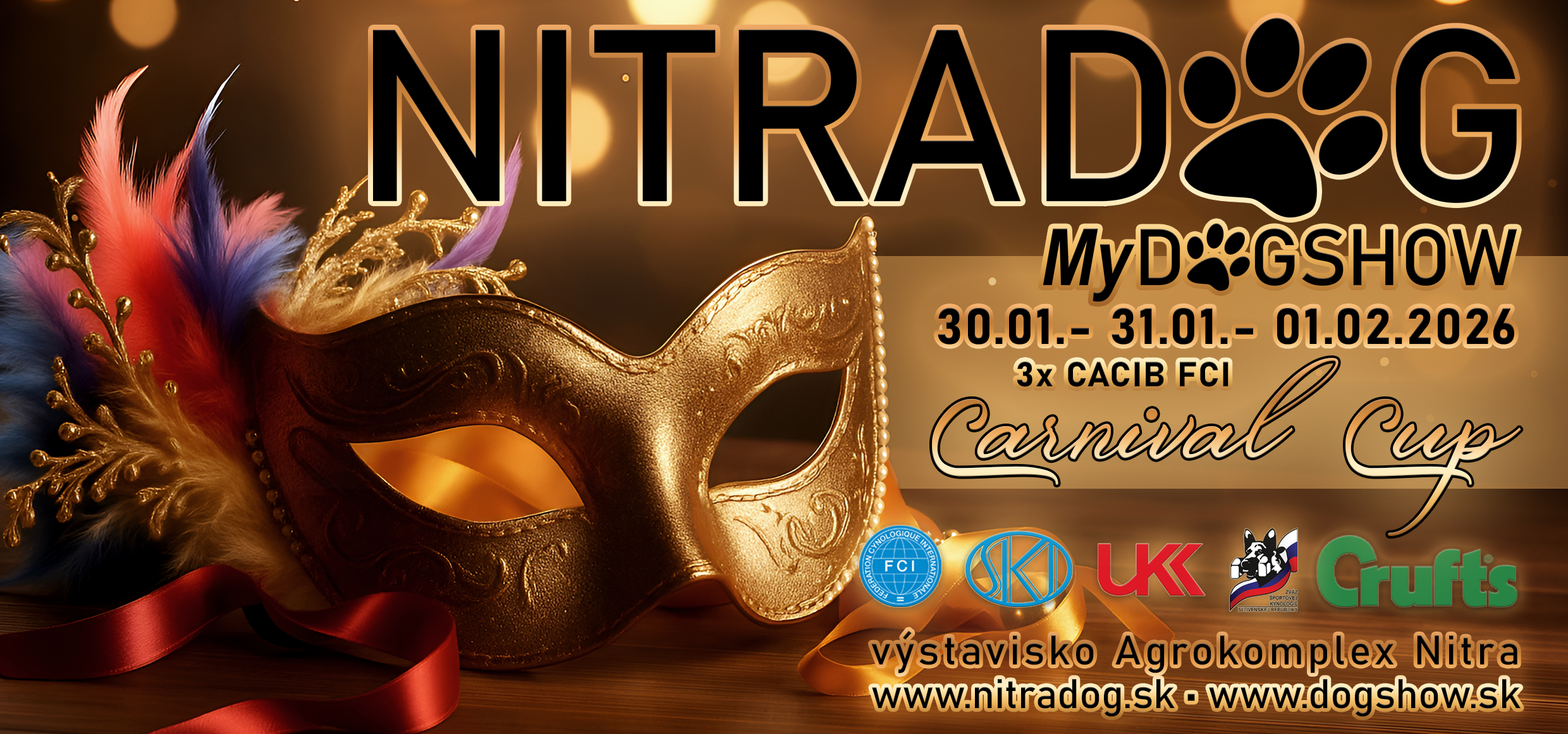 818048-2026-01-banner-carnival-cup