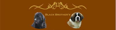 Black-brothers Black-brothers