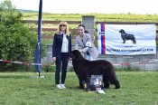 Img_8602_2